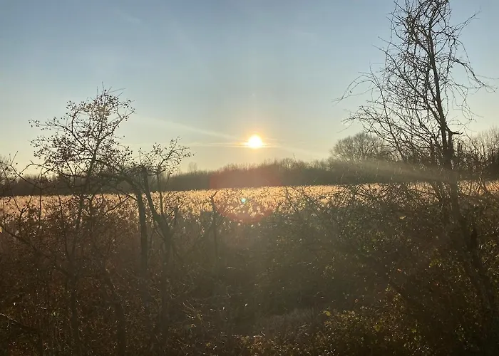 La Cabane, Independante Dans Jardin - Esprit Authentique Et Confortable - La Campagne A 5 Mn Du Centre De Caen Fleury-sur-Orne